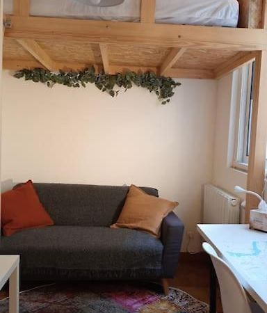 Petit Mignon - Hypercentre Toulouse Appartement Buitenkant foto