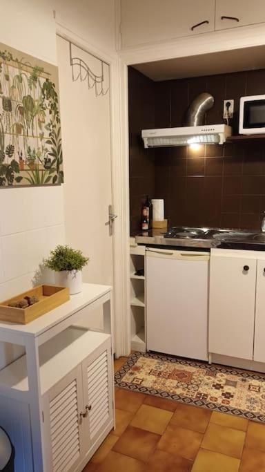 Petit Mignon - Hypercentre Toulouse Appartement Buitenkant foto