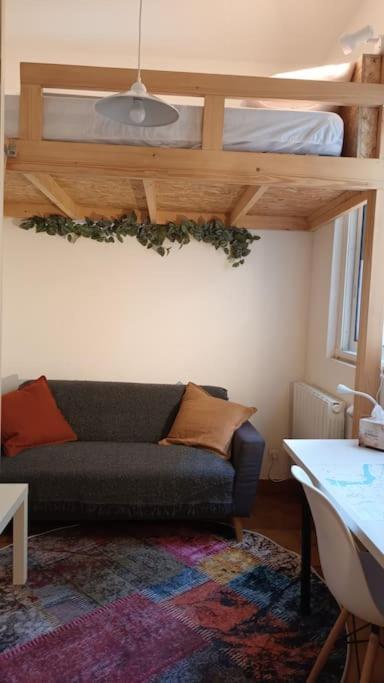 Petit Mignon - Hypercentre Toulouse Appartement Buitenkant foto